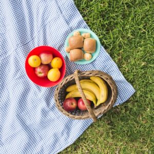 picnic-basket-with-fruits-bread-check-blanket-green-grass