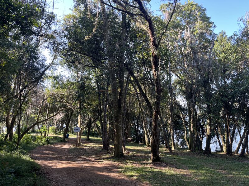 camping - Alagados (3)