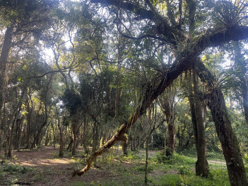 camping - Alagados (5)